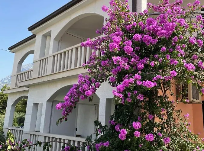 安娜马里加公寓 马卡尔斯卡