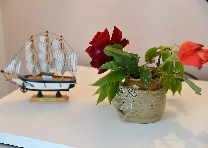 安娜马里加公寓 公寓