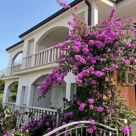 Anamarija ماكارسكا