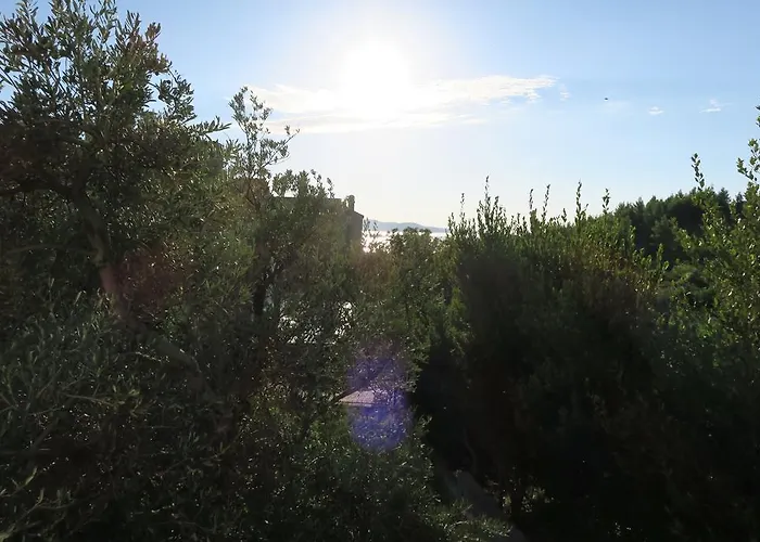 Apartman Anamarija *